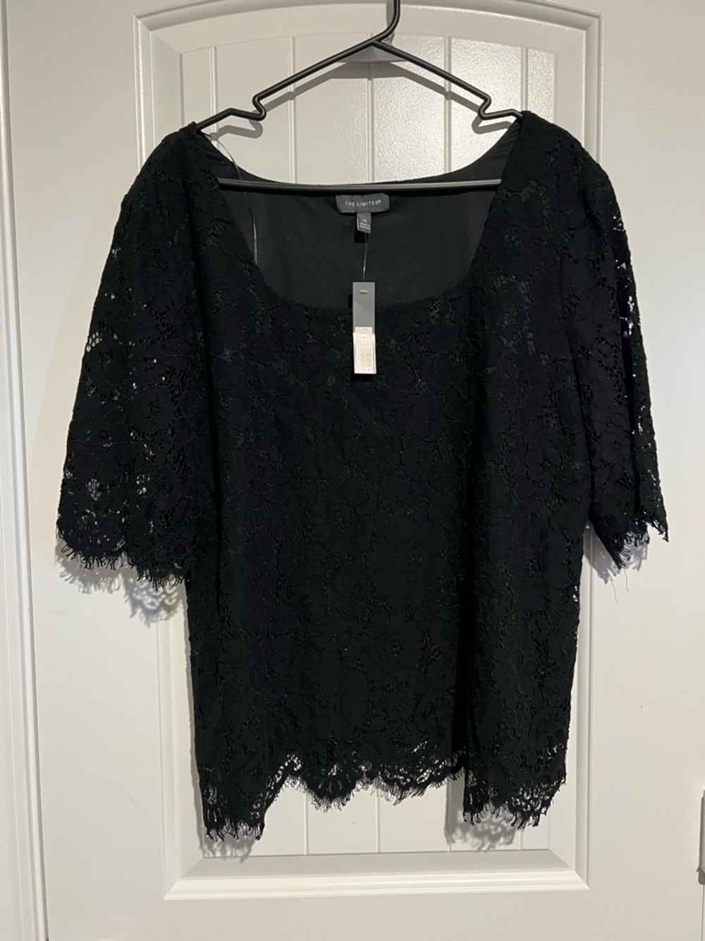 The Limited Black Lace Scoop Neck Blouse